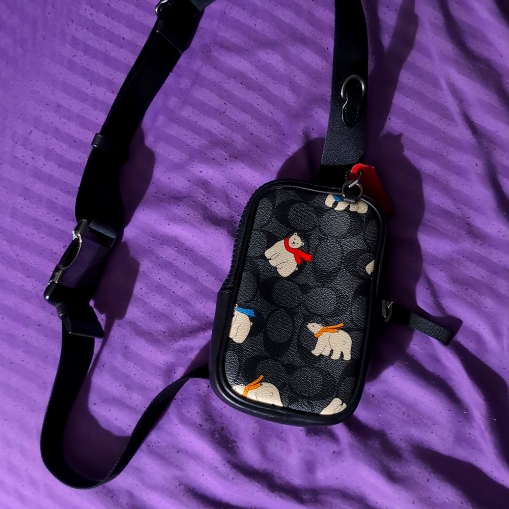 Coach bag